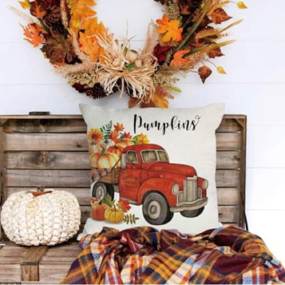 Set a four for decorative pillow covers